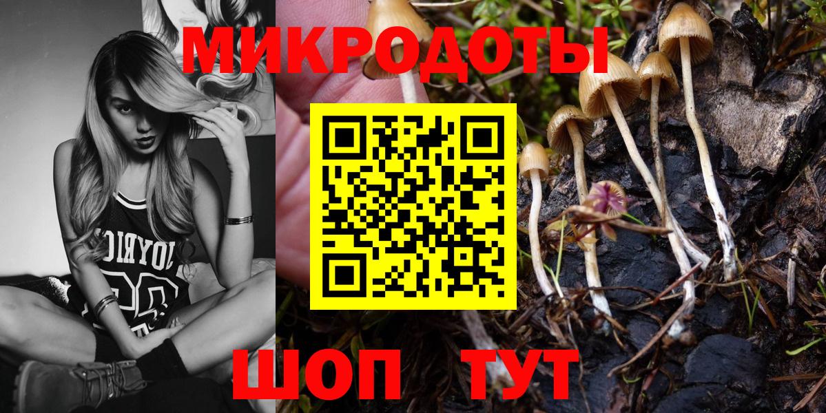 Нерюнгри  где купить   Вход с VPN  Псилоцибиновые грибы MAGIC MUSHROOMS  Псилоцибиновые грибы MAGIC MUSHROOMS 